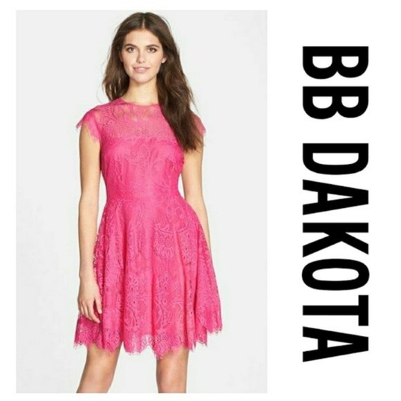 BB Dakota Dresses & Skirts - BB Dakota "Rhianna" Illusion Yoke Lace Fit & Flare